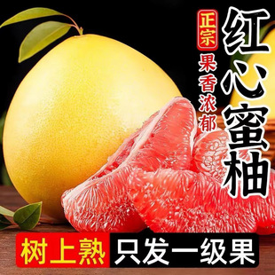 ����ƽ�ͼt�������t���Ӽt�����֮������rˮ��10�������ЋD���]