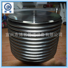 304���P䓏�����ղ��y��DN50�F؛���l