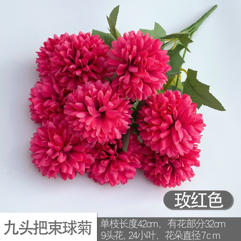 Nine -headed ball chrysanthemum red