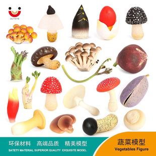Simulation Wild Mushroom Vegetable Plant Model Dictyophora Mushroom Mushroom Pleurotus ostreatus Early Education Cognitive Ornaments Children's Toys