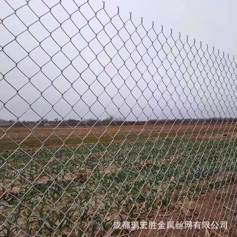 菱形网围栏 热镀锌勾花菱形网  菱形编结网 菱形孔围栏  勾花网