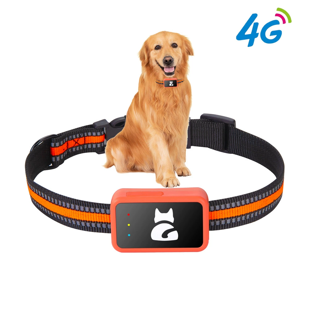 Популярный GPS-трекер G68P с поддержкой 4G для собак и кошек, ошейник с функцией защиты от потери и кражи