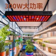 �羳��̱���90W ֲ���75��ȫ���Vֲ�����ˮ����ֲ�������оƬ