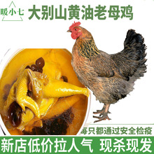 ���մ��ɽ������ĸ��ɢ���������ߵؼ��������������ʿɷ�˳��