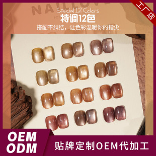 Customized Coffee Cat Eye Gel Nail Polish Manufacturer's New Versatile Cat Eye Phototherapy Gel for Nail Salons