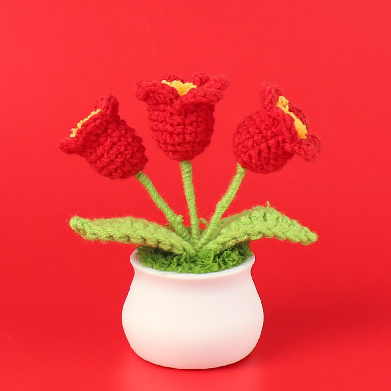 Orquídea roja acabada (tres cabezas) pequeña maceta