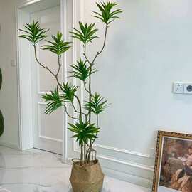 绿植百合竹室内客厅装饰北欧ins风盆栽树大型落地仿生假植物