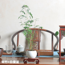 �������������^����t�����Pβ���҃�����ֲ����B�k�����辰