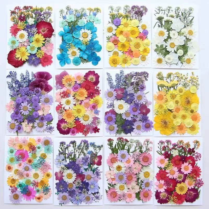 New Dried Flower Embossed Material Package for Face Decoration, Eye Corner Photo Flower DIY Glue Photo Frame, Plant Specimen Pressing