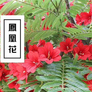 �W�t��������P�˻�֦�����������������մ�Ӱҕ�Θ����쾰���