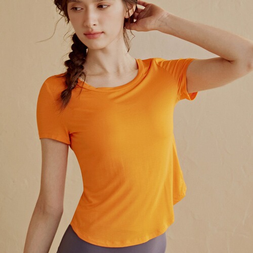 Women's Summer 2024 High-End Yoga Top, Short-Sleeve Fitness Shirt for Gym, Breathable and Quick-Drying