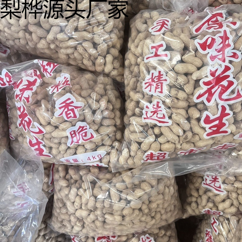 农家铁锅炒花生花生2023年新货带壳熟花生口感香脆特产净重批发价