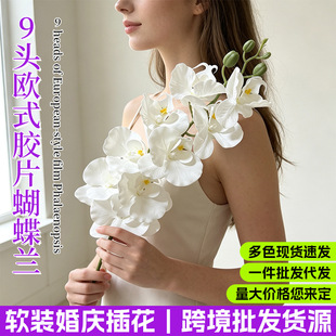 ����9 �^�Wʽ�����m���滨 3d�zƬ�ٻ���c�ҾӾƵ�ܛ�b�廨���l