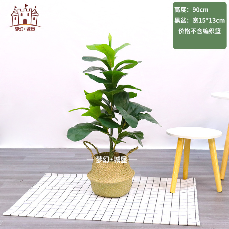 Simulación de plantación verde de plátano de bambú de tortuga grande planta de plantación de ventana interior diseño de ángulo de planta de árbol falso paisajístico