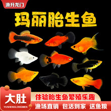 ̥���~���w�����~��ˮ�^�p�~�����ֳ��ĸ��ȸ������С�͟Ꭷ�~