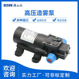 德之颂0152HB高压造雾泵功率15w流量1L/MIN扬程80m吸程1m洒水绿化