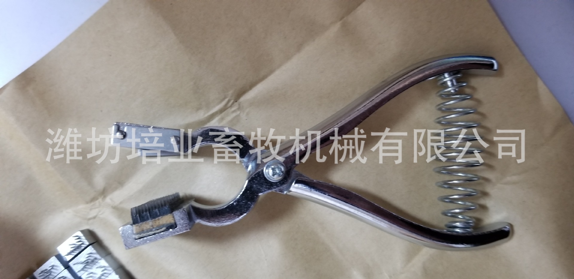 兔耳号钳  兔针刺钳
