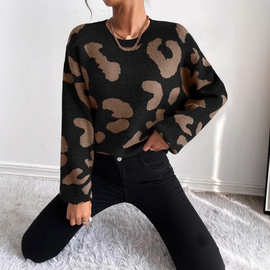 韩国chic秋冬新款小众休闲时尚百搭圆领套头宽松复古豹纹时尚毛衣