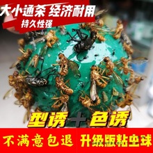 ճ�x��Ϲ��@��С��ω�z�ϸ��ٴ�ω�Tω��ᘷ��N��ω�T��