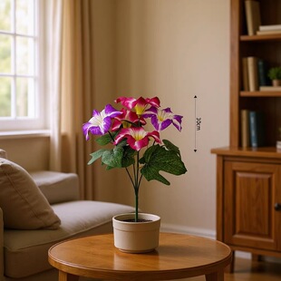 �������^��ţ�����仨��ٻ��Ҿ��b��滨��ƿ�羳���N��