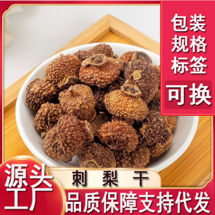 ������F�����خa����Ƀ��|���x�o����������l���l