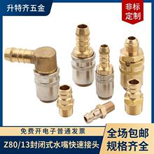 HASCO��ʽ���ʽģ�߼ӳ�ˮ��Z81/9����ʽͭˮ��Z801/13��ܽ�ͷ