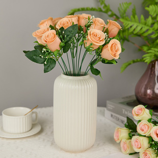 12�^�����M����Сõ�� �����b�ˇ ���Ҝ�ܰ�[���r�л���
