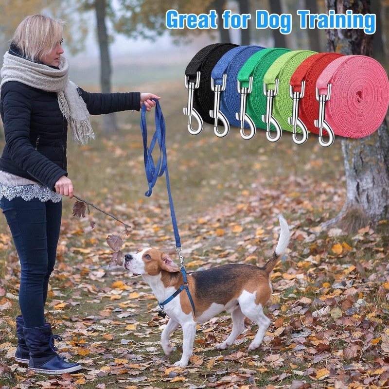Polypropylene 3m 6m 10m 20m Extended Pet Dog Walking Leash_voghion.com