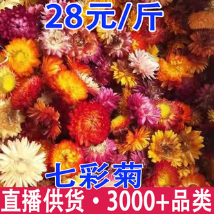 �߲ʾ� �߲ʾոɻ� ����߲ʾջ����l���l