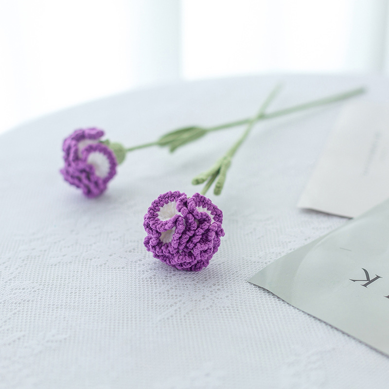 완성 된 그라디언트 다크 퍼플 카네이션 단일 잎 랜덤