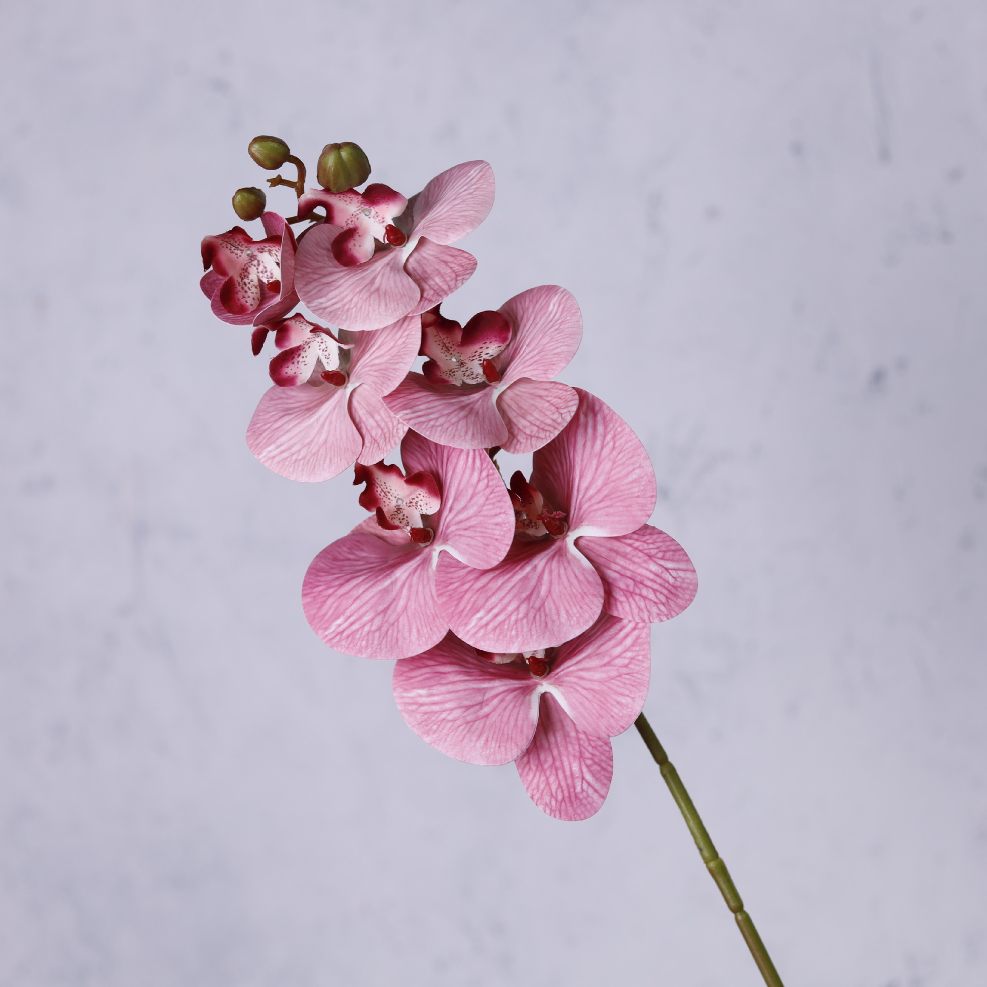 Impresión 3D de 7 cabezas de orquídeas mariposa flor de decoración de flores de alto nivel flor de nicho decoración floral decoración de sala de estar