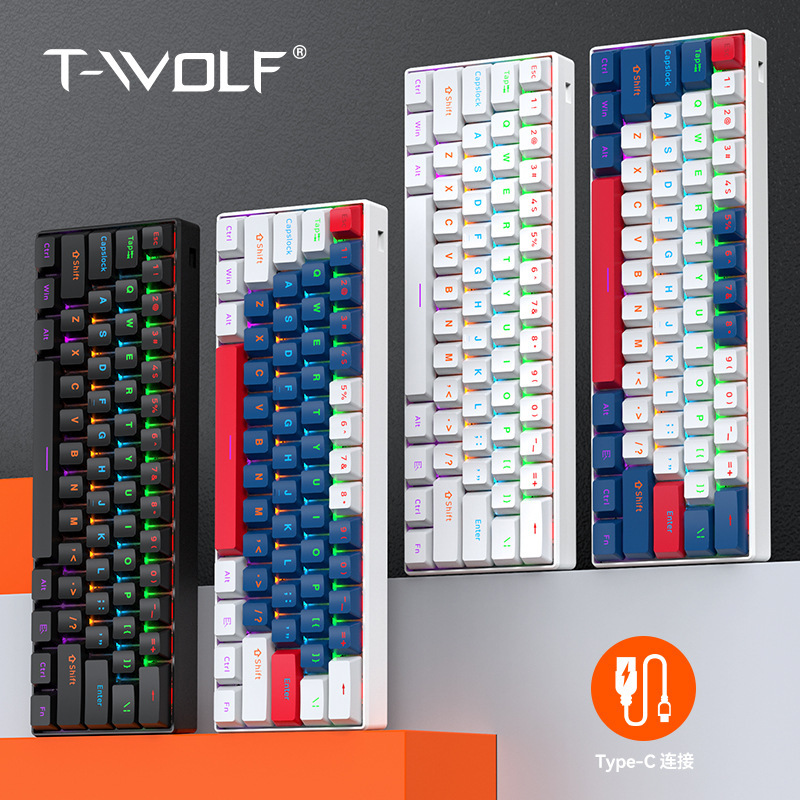 T-Wolf Thunder Wolf T60 Mechanical Keyboard with Blue Switches, 61 Keys, Detachable Cable, Gaming Rgb Character Lighting, Customizable
