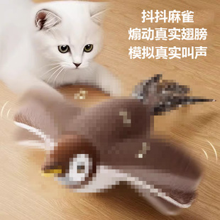 �羳������B؈����߶�؈؈���늄ӷ��������������؈������