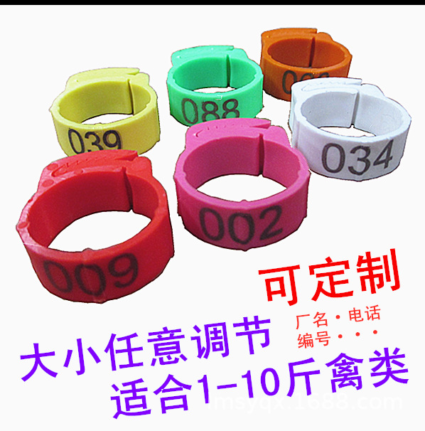 供应鸡脚环 鸡吊环 鸡吊牌 鸡用脚环 鸭脚环 鹅脚环
