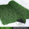 Dark immortal ground moss sheet 0.5*1 meter