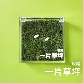 微景观;微景观瓶;其他园林植物