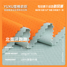 140g北面汗跑跑面料 全涤吸排速干T恤运动服布料 单面网眼布面料