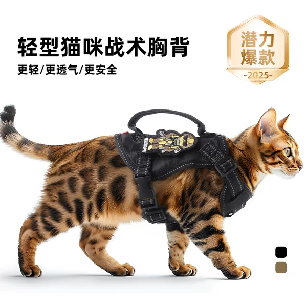 New cat traction rope vest cat tactical chest back handle reflective breathable cat walking rope in stock wholesale