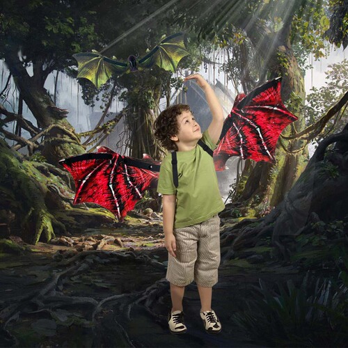 New Style Dinosaur Wings Electric Butterfly Wings Children's Glowing Fairy Back Decor Wholesale 