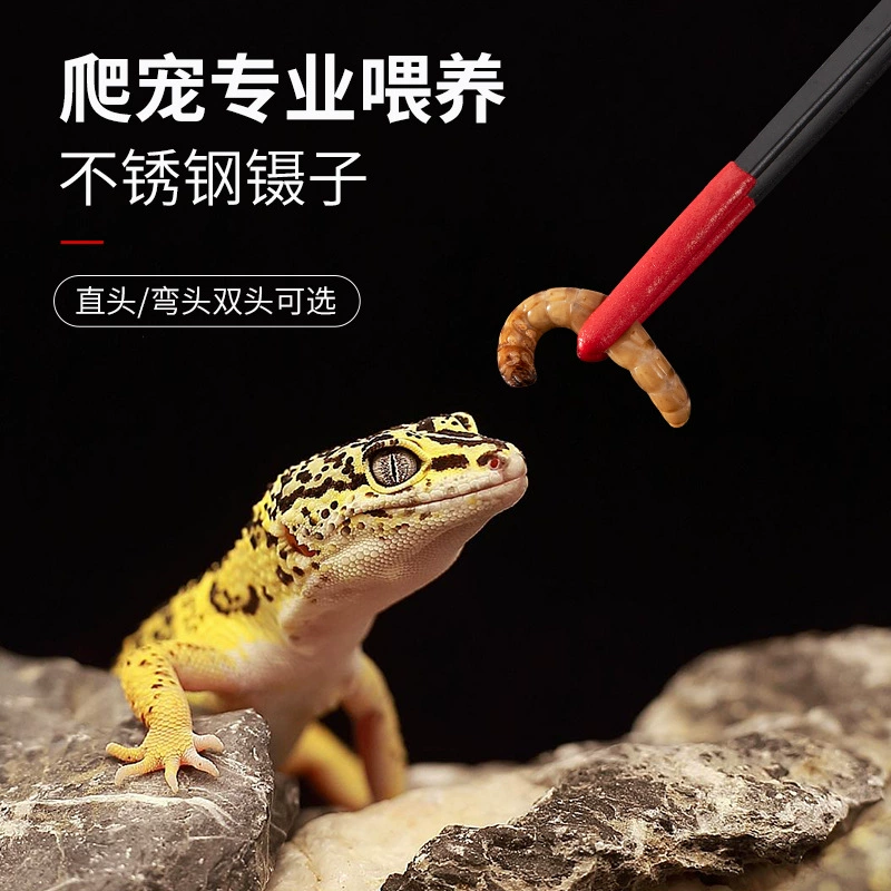Черепаха Шоугун Восхождение Домашнее животное Рогатая лягушка Дракон Рыба Хомяк Пинцет для кормления домашних животных На подкладке Кормушка из нержавеющей стали Зажим для кормления