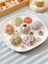 ��Ȼ��đ��ؐ���˱����݄����ֹ�diy�b�đ�����Ͽ՚��P�滨��