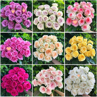 Fresh Flowers Base Bouquet Yunnan Rose Ceremony Straight Hair Perfume Lily Direct Batch Mail Real Flowers Sunflower Cut Flowers