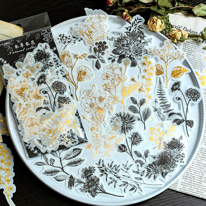 Momo bronceado y etiqueta de papel paquete colección natural diario japonés álbum DIY pegatinas decorativas 60 unidades 8 modelos