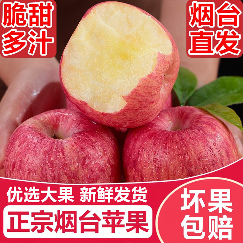Authentic Yantai Red Fuji Apples, Fresh Seasonal Fruit, Freshly Picked from Shandong Qixia, Crisp and Sweet, Sugar-Heart Apples, Whole Box Authentic Yantai Red Fuji Apples, Fresh Seasonal Fruit, Freshly Picked from Shandong Qixia, Crisp and Sweet, Sugar-Heart Apples, Whole Box