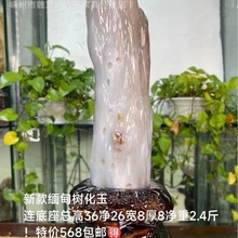 缅甸树化玉东岛老坑高冰鸡油黄玉石奇石原石矿物家居摆件天然石