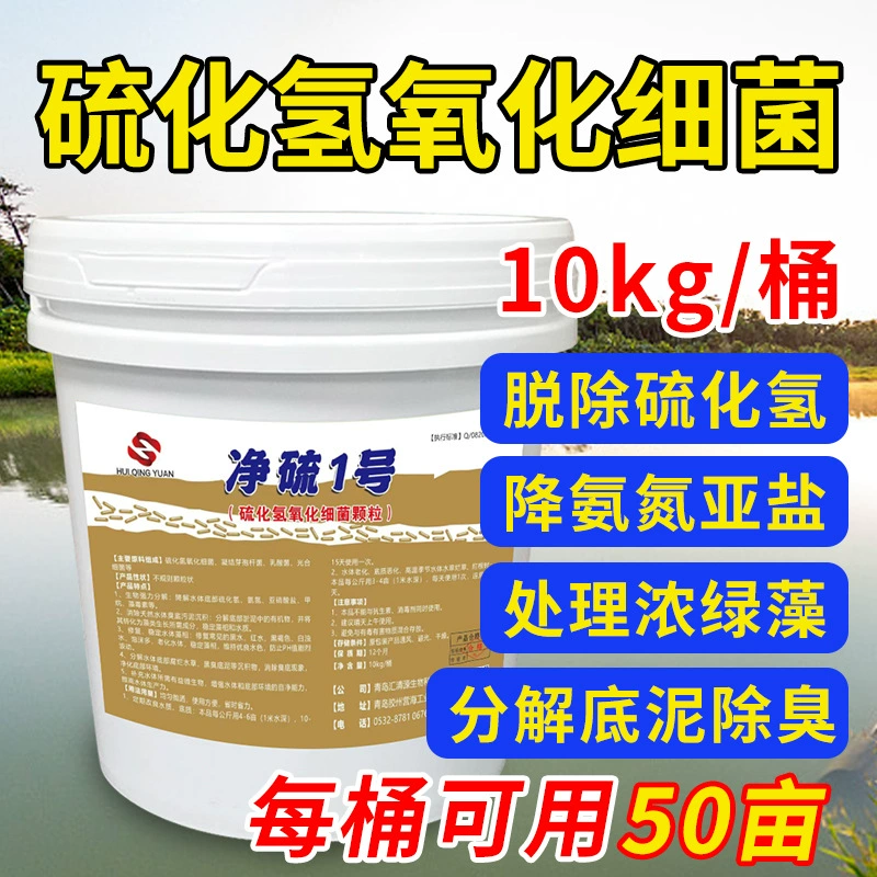 Сульфид водорода окисляющих бактерий лечение Черной Воды запаха воды биологического дна для обработки нитритов водных экспертов переноса воды