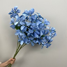 羳c滨YñbˇF{ɫõĵٻl