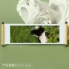 Panda 108
