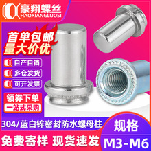 304���P��ܷ��ͷ�ˮ��ĸ��BS��\ä�׉��T��ĸ�����lM3|M5|M6