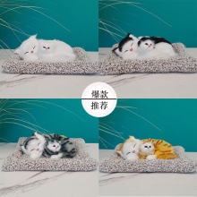 竹炭仿真猫咪会叫小猫儿童玩具生日礼物动物模型公仔毛绒汽车摆件